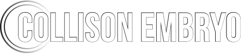 Collison Embryo